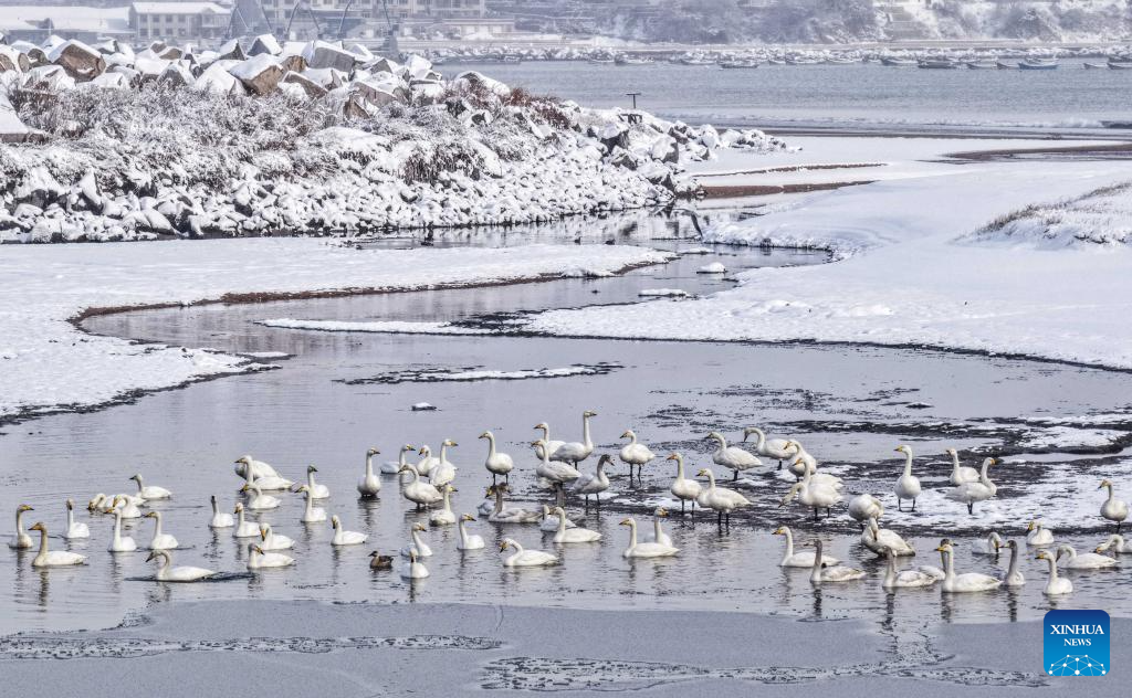 Foto de Li Xinjun/Xinhua