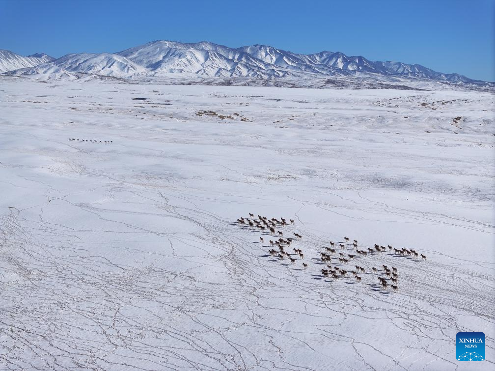 Foto de Gao Hongshan/Xinhua