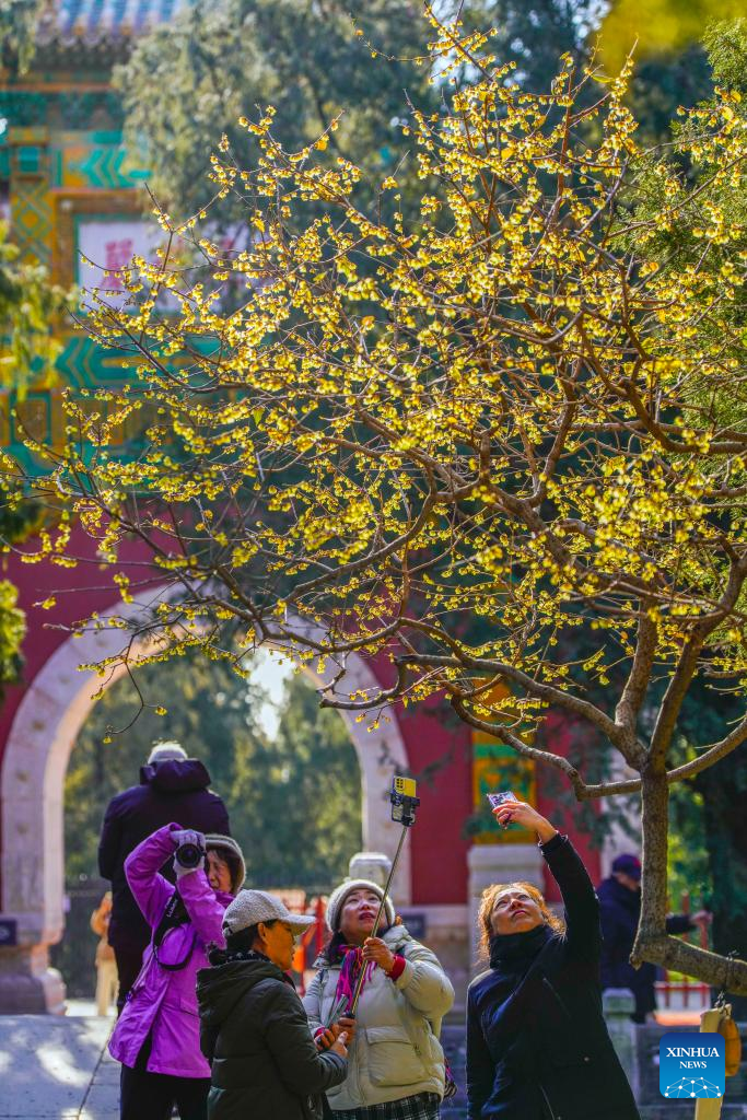 Paisagens de inverno na China durante o 11º mês lunar