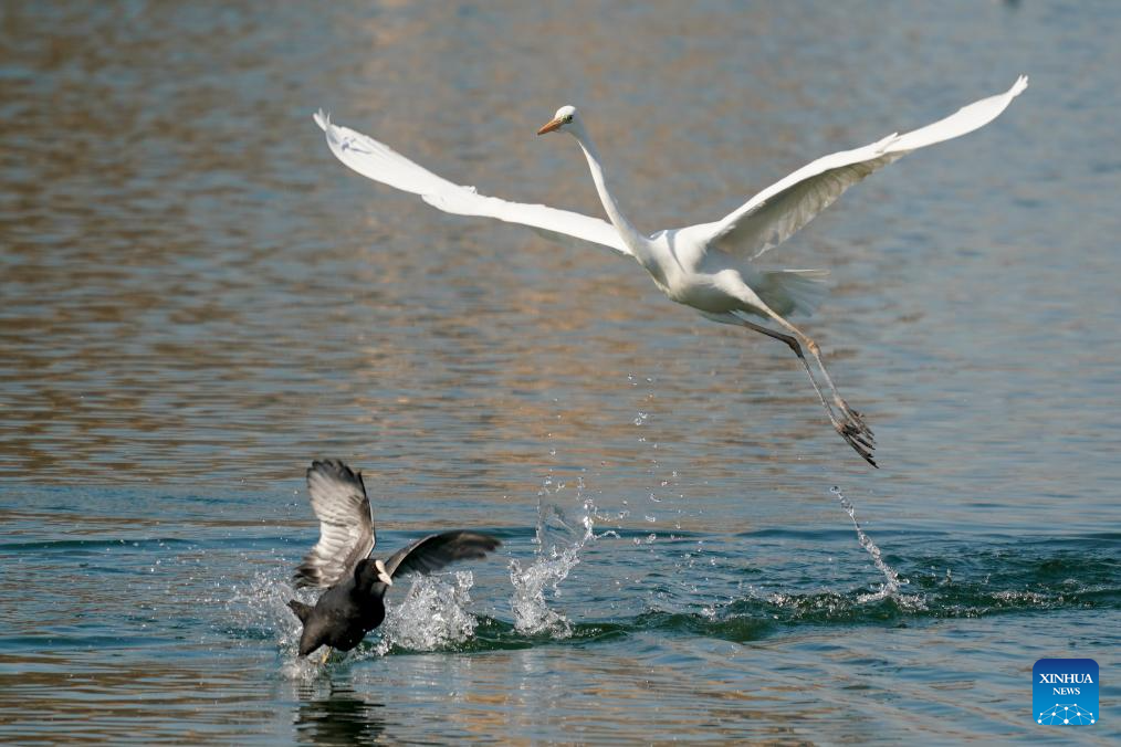 Xinhua/Yang Chenguang
