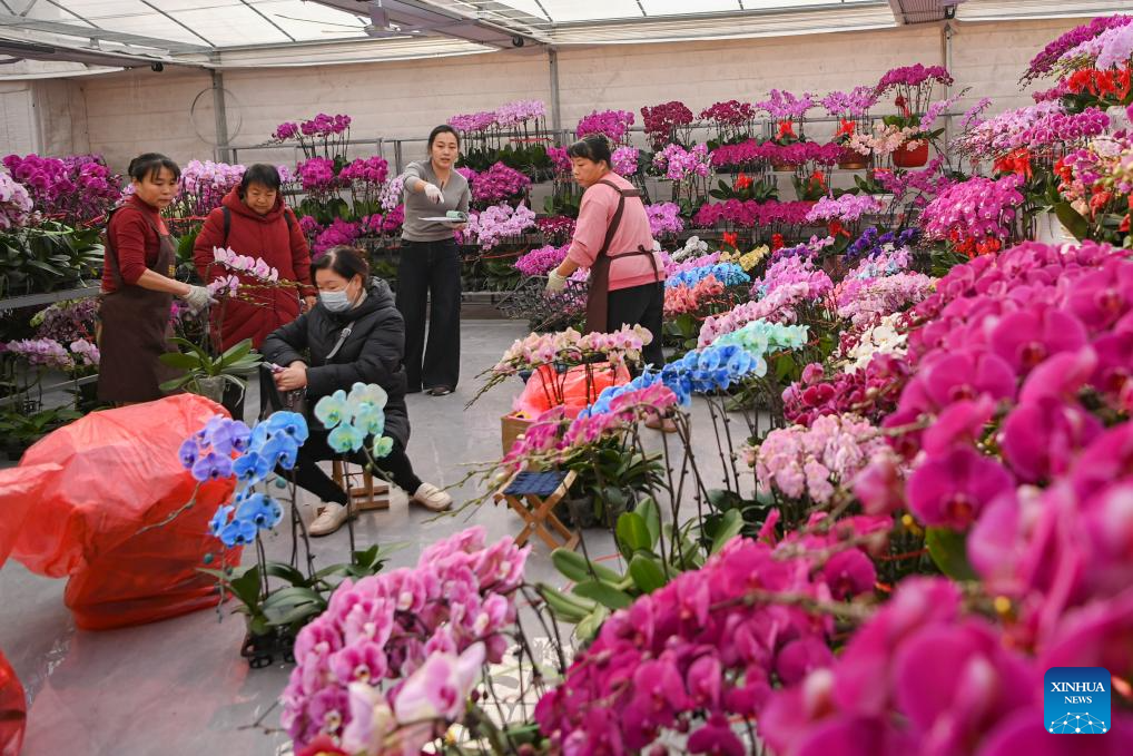 Chineses se preparam para a próxima Festa da Primavera