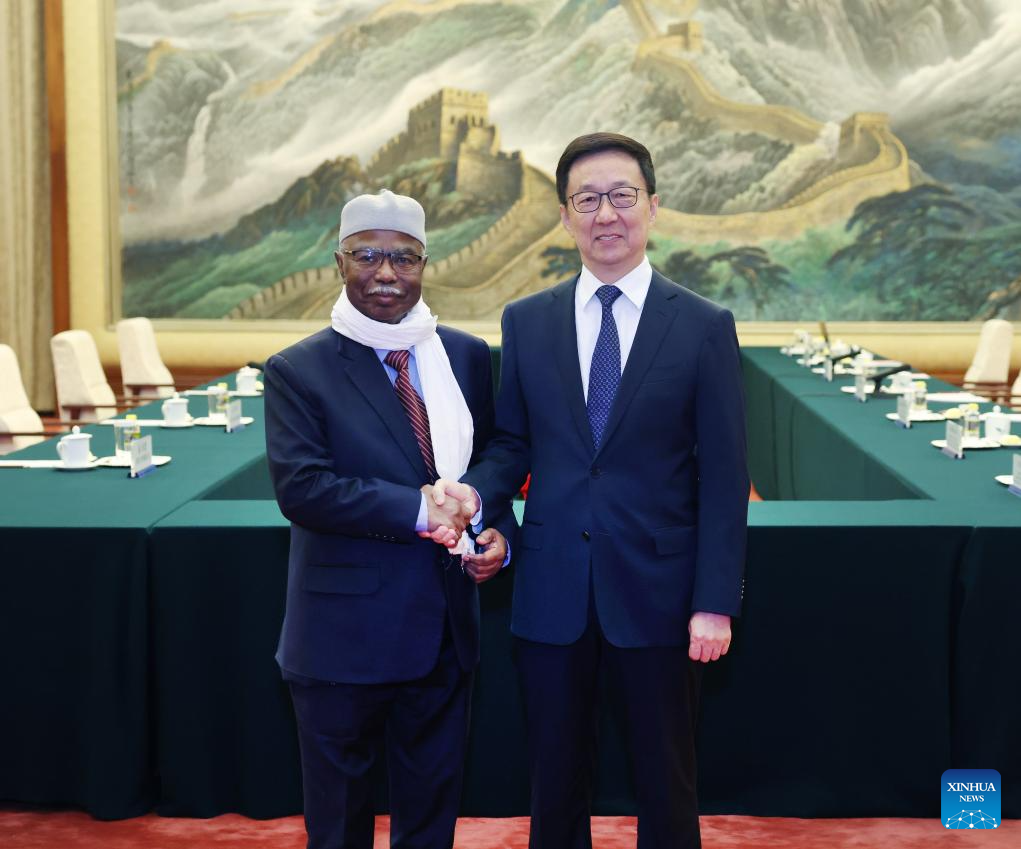 Vice-presidente chinês reúne-se com secretário-geral da Organização de Cooperação Islâmica